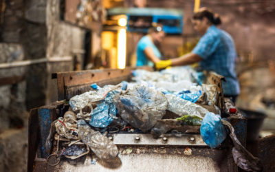 Effortless Estate Cleanouts: Family-Friendly Tips for a Smooth Transition