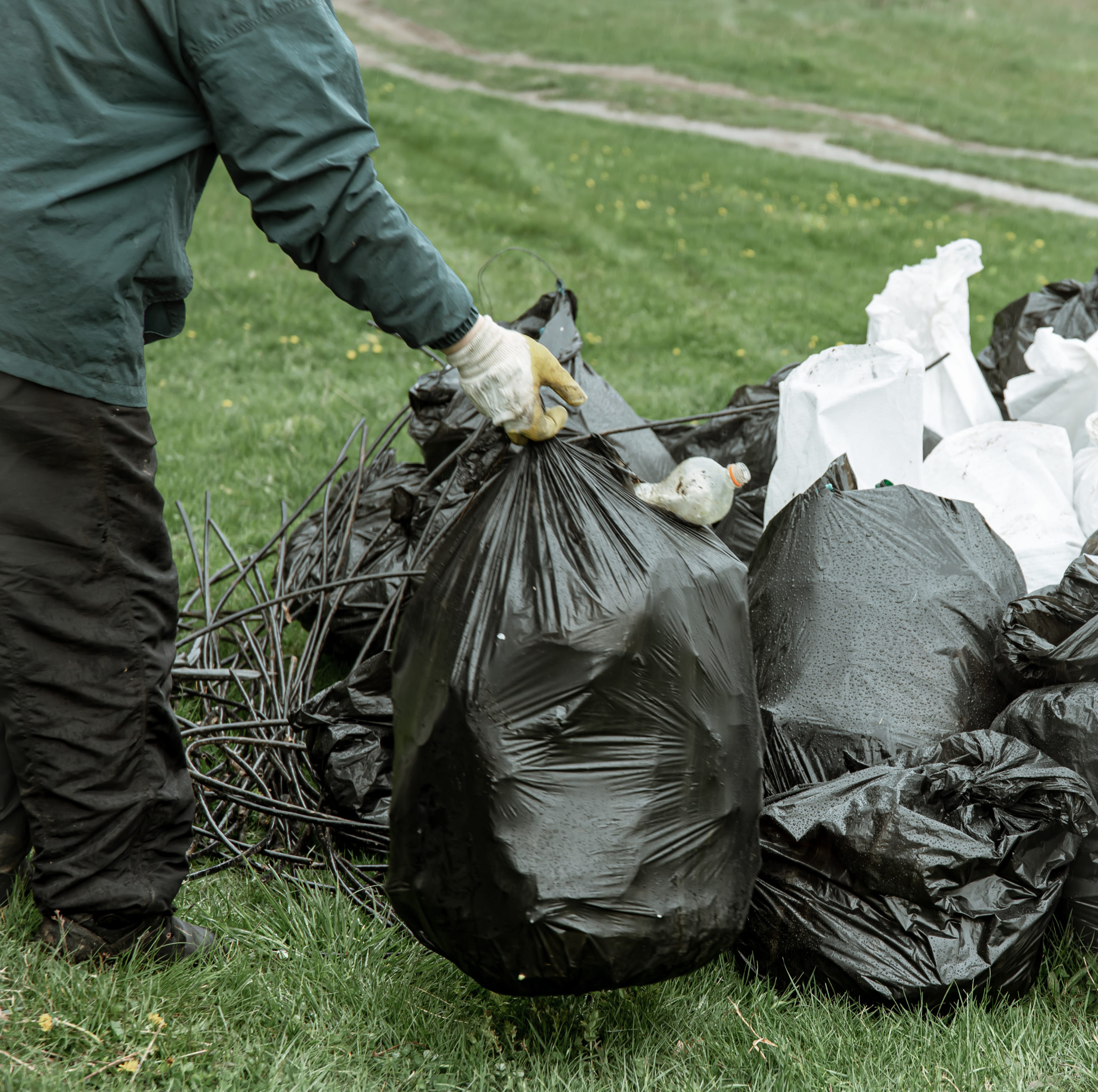 Close-up of garbage bags in the forest on the grass.