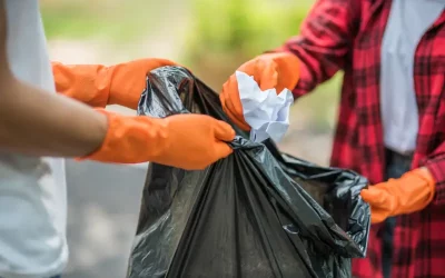 The Cost of Junk Removal: What to Expect