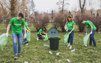 5 Reasons to Choose Eco-Friendly Junk Removal
