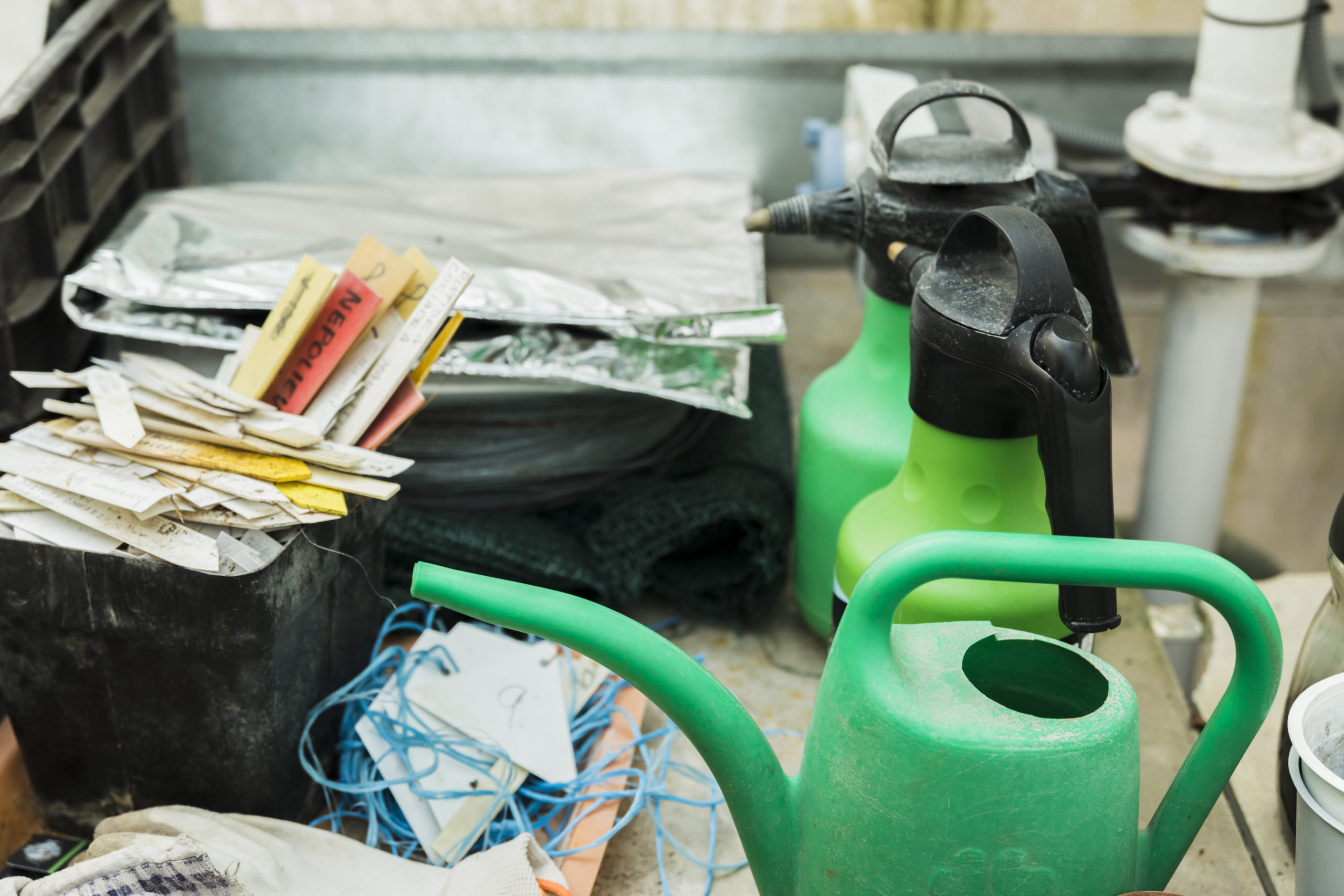 preparing for junk removal services